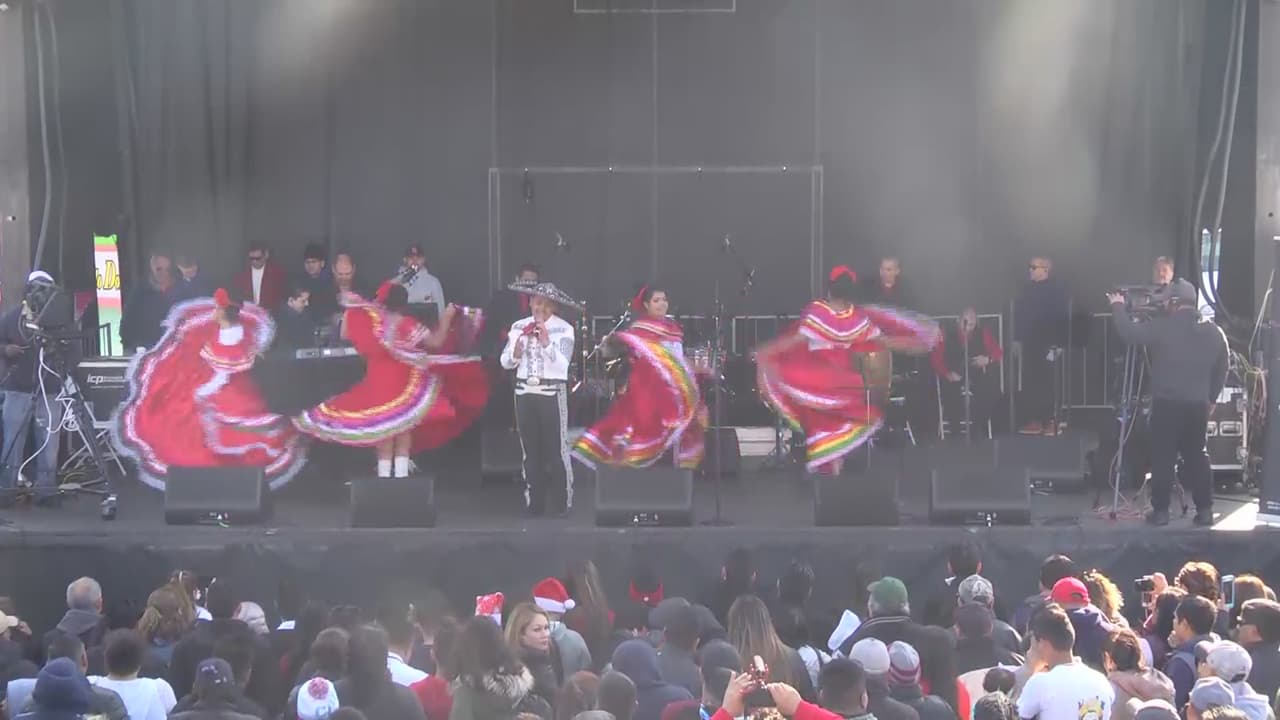 Desfile Internacional Navideño 2019