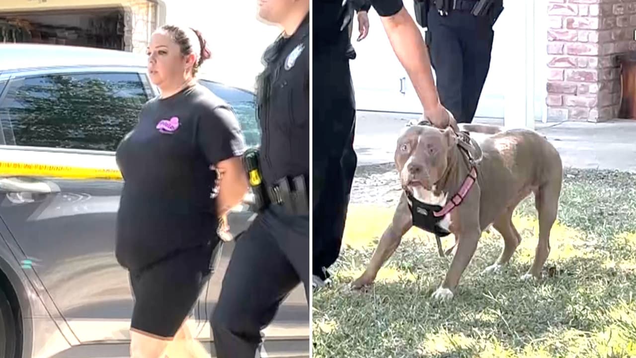 Adolescente trató de ayudarlo: pequeño de 1 año es atacado por dos perros pitbull en Texas y lo reportan grave
