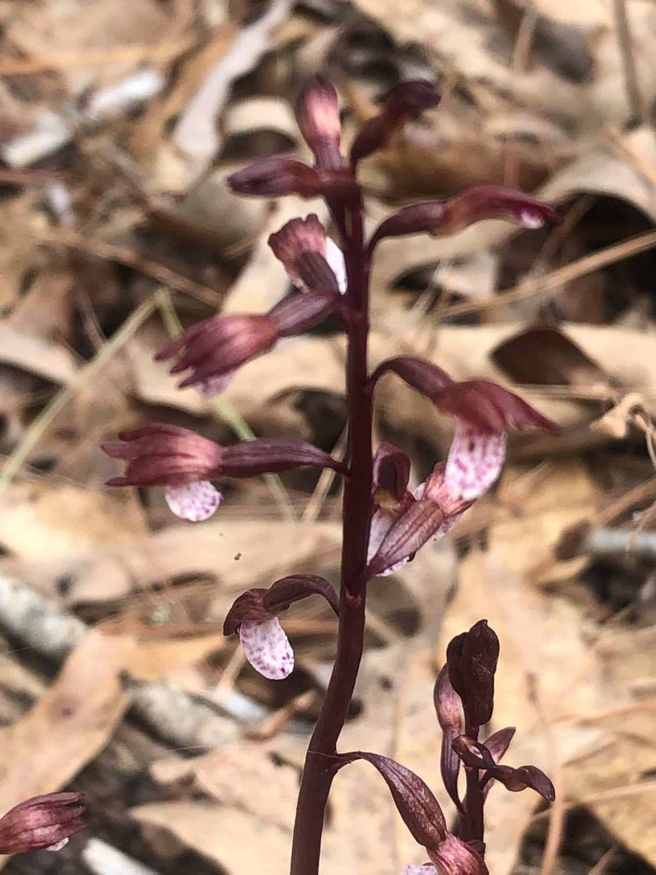 Puedes hacer reservaciones llamando al: (512) 389-8900.
<br>