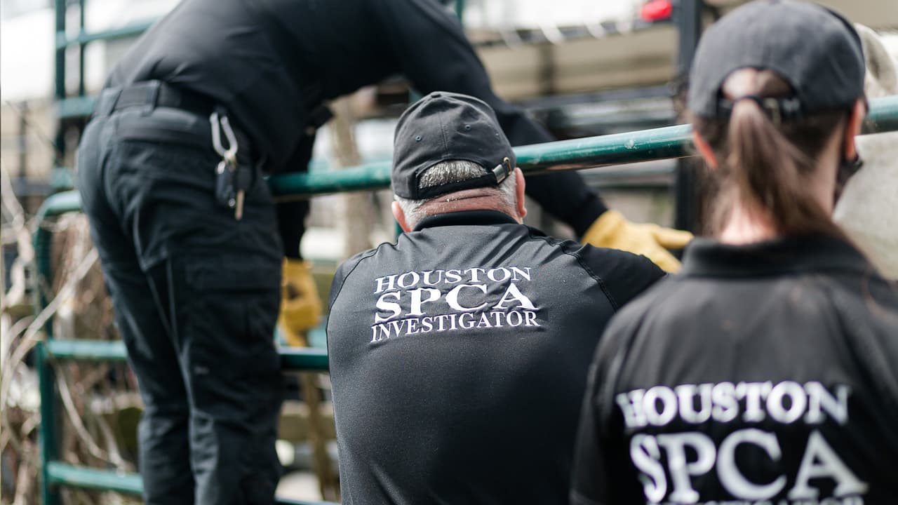 Las autoridades hacen un llamado a la comunidad para solicitar ayuda a tiempo.