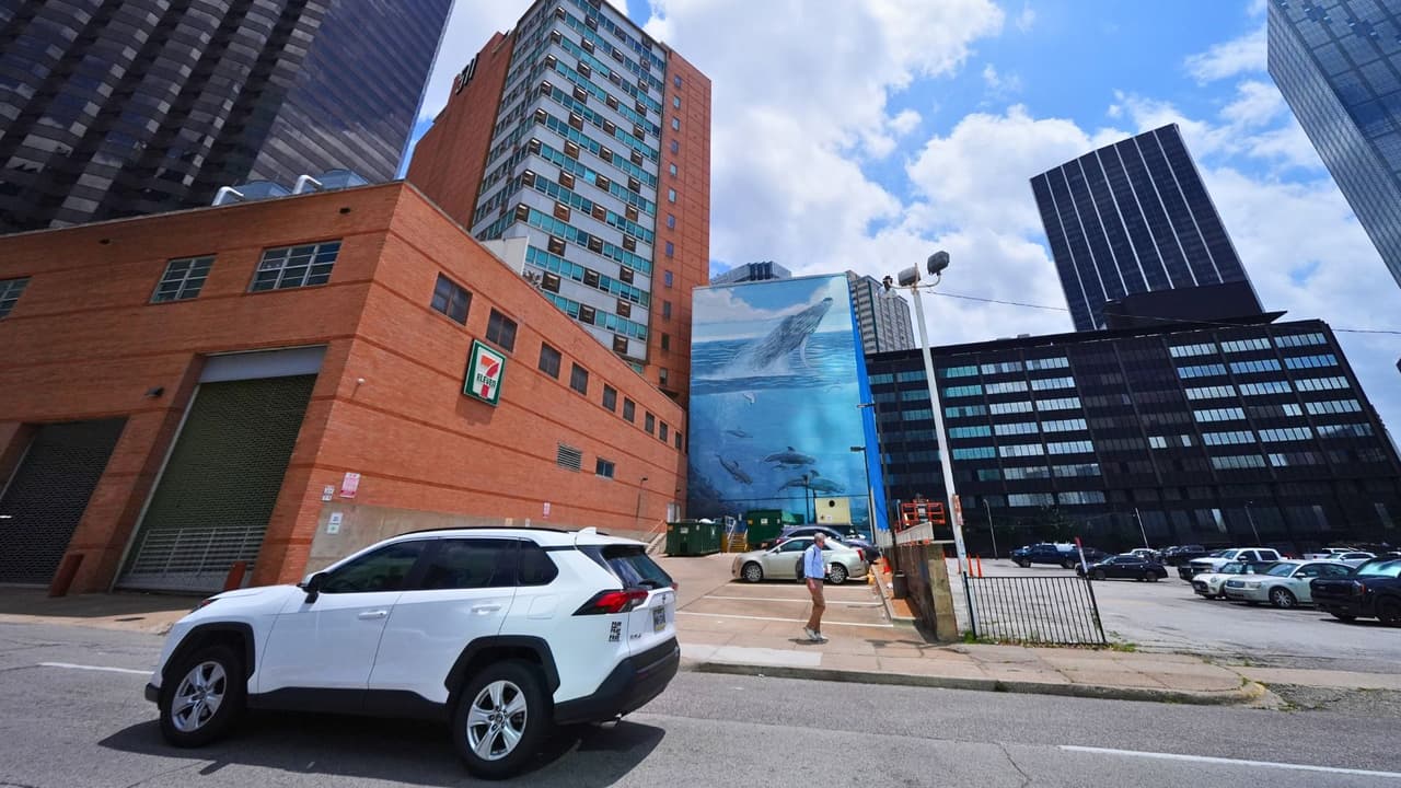 <h3 class="cms-H3-H3">El cambio del mural deja abierto un debate en Dallas </h3>El caso dejó una pregunta abierta en Dallas: 
<b>qué debe pasar cuando una obra local queda en medio de los preparativos para un evento global.</b>
<br>Por ahora, el mural de ballenas 
<b>ya no domina la pared de Akard Street. </b>
<br>En su lugar avanza 
<b>una nueva imagen ligada al Mundial,</b> mientras la ciudad enfrenta un debate 
<b>sobre memoria urbana, permisos y el valor del arte público.</b>
