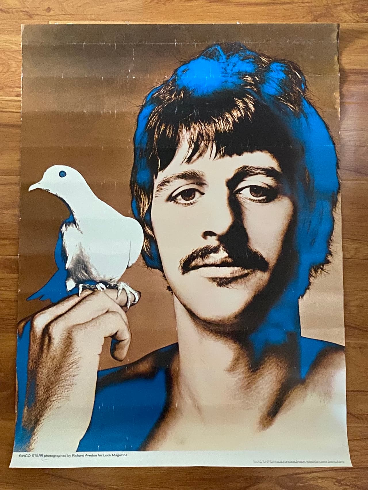 El ex Beatle creó dos compañías en las Bahamas que fueron usadas para adquirir bienes inmuebles y es asociado con cinco fideicomisos panameños.