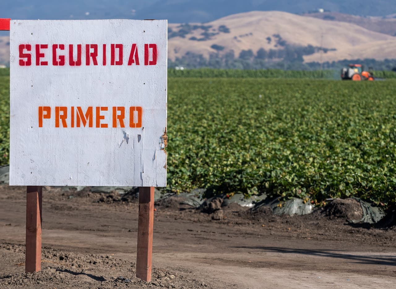 Un letrero que dice "Seguridad primero", se coloca en la entrada de un campo de fresas cuando un tractor en el fondo sparce pesticidas en Salinas, California, el jueves 2 de julio de 2020.
