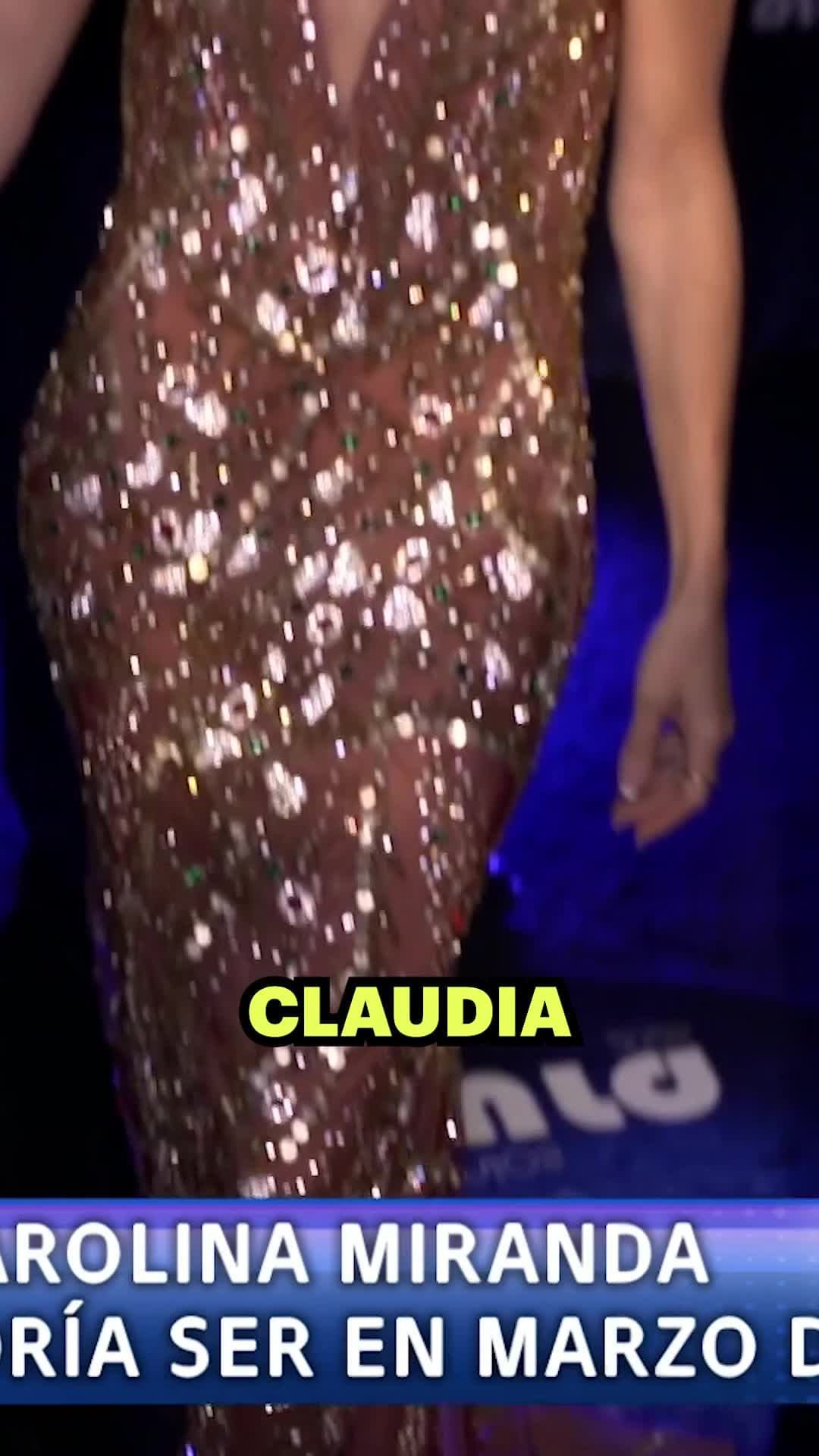 Claudia Álvarez podría regresar a las telenovelas