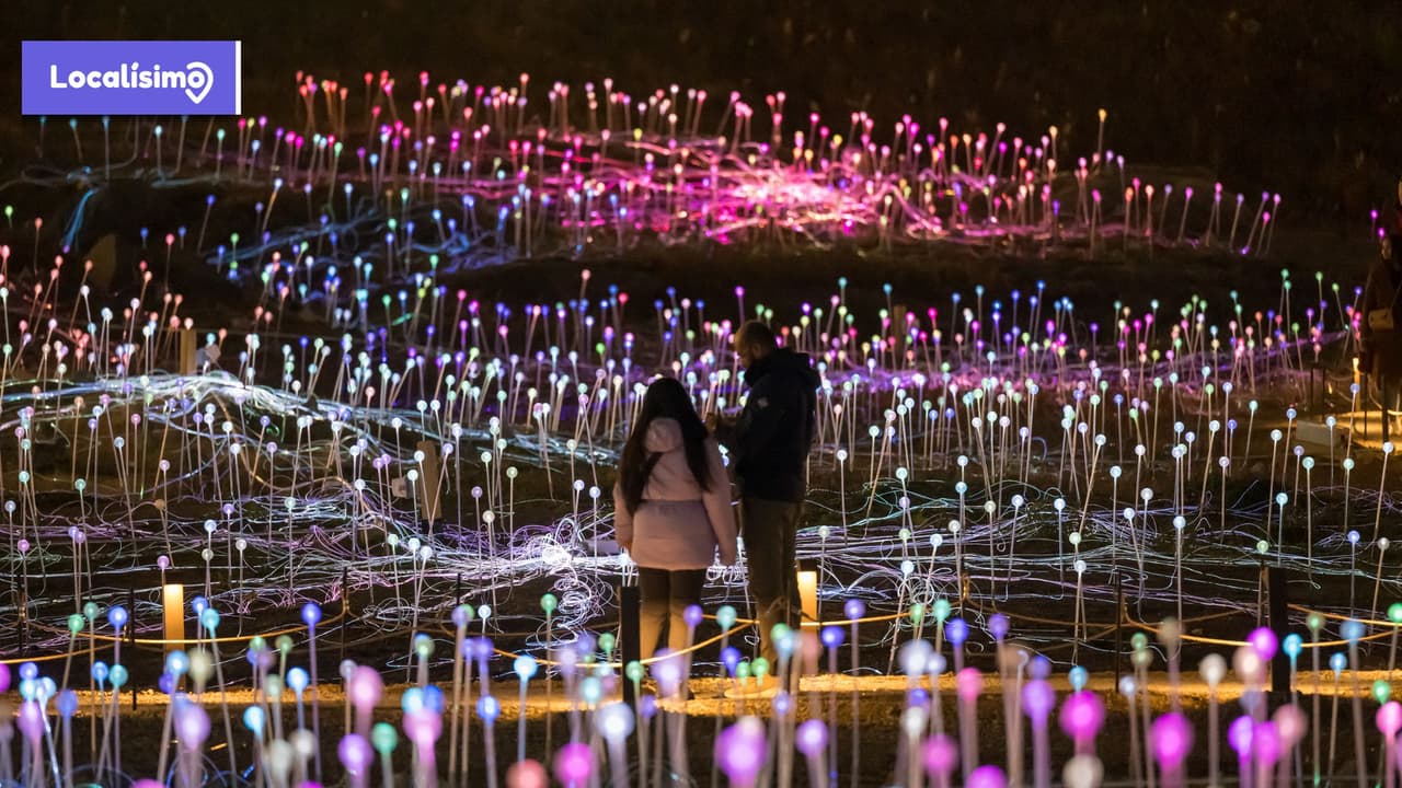 Espectáculo gratuito de luces en Freedom Plaza en Manhattan terminará en noviembre