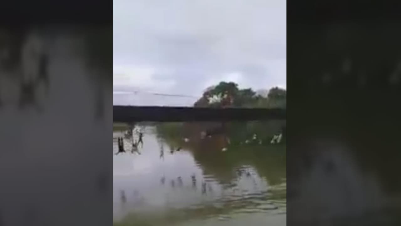 Video: se desplomó un puente colgante y 32 personas cayeron de él en Ecuador