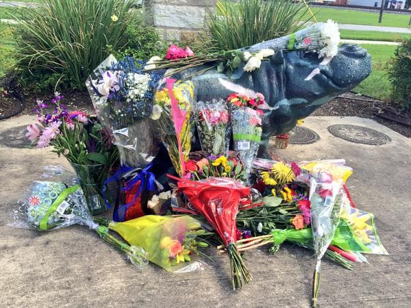 Detienen a un hombre tras atropellar a policía de Hutto 