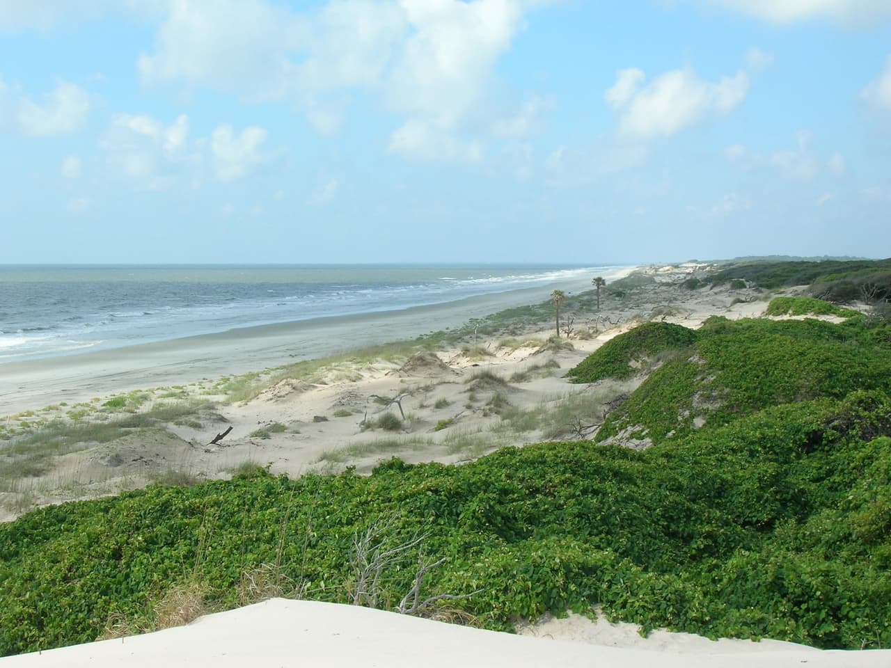 <b>Cumberland Island</b>. Hogar de Cumberland Island National Seashore, la ecología histórica y diversa y la integridad ambiental de la isla se conservan estrechamente. Las dunas, lagos y marismas albergan una gran variedad de vida silvestre y crean un paisaje isleño impresionante.