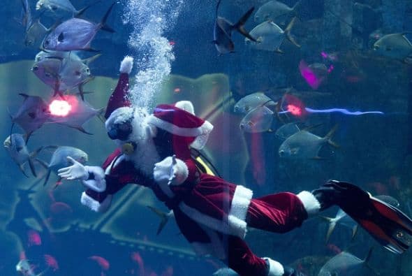 Un buzo vestido como Santa Claus posó para todos en un tanque del acuario de París.