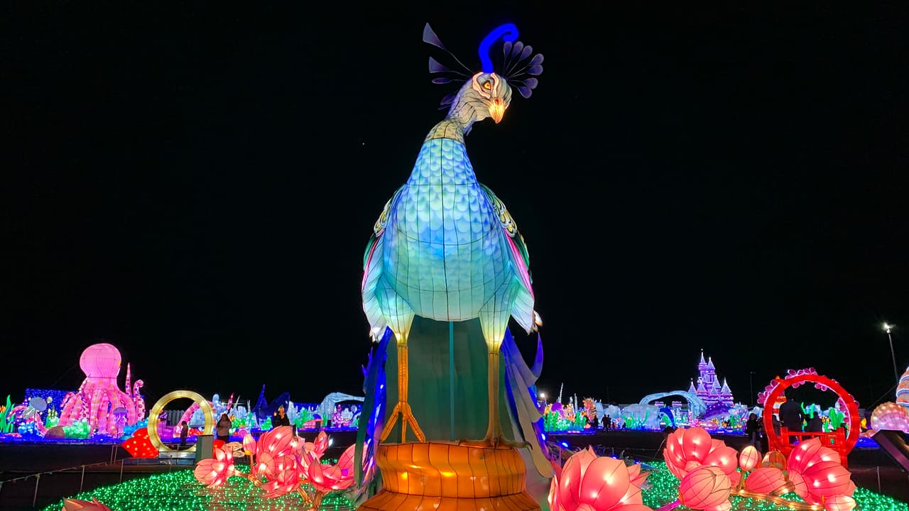 Está abierto todos los días, incluidos los festivos de Navidad y Año Nuevo y esta es la dirección: 
<b>2525 FM 565, Baytown, TX 77523.</b>