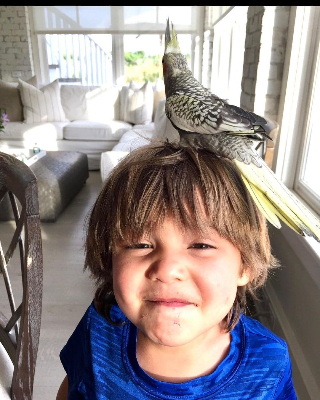 De acuerdo con Thalía, su hijo 
<b>no ha mostrado el gusto por la música</b> como ella, ni por los negocios como su padre.
<br>