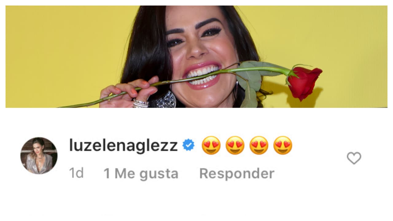 La actriz 
<b><a href="https://www.univision.com/famosos/luz-elena-gonzalez-aclara-el-pleito-que-tuvo-con-yanet-garcia-la-chica-del-clima-de-hoy-fotos" target="_blank">Luz Elena González</a> </b>también les dejó un mensaje con varios emoticonos para demostrarles su cariño. 
<br>