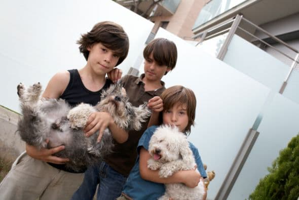 El Departamento de Control Animal del Condado Cook ya emitió una alerta para residentes de los suburbios, tras varios avistamientos de coyotes. Mucho cuidado con las mascotas y niños jugando en exteriores.