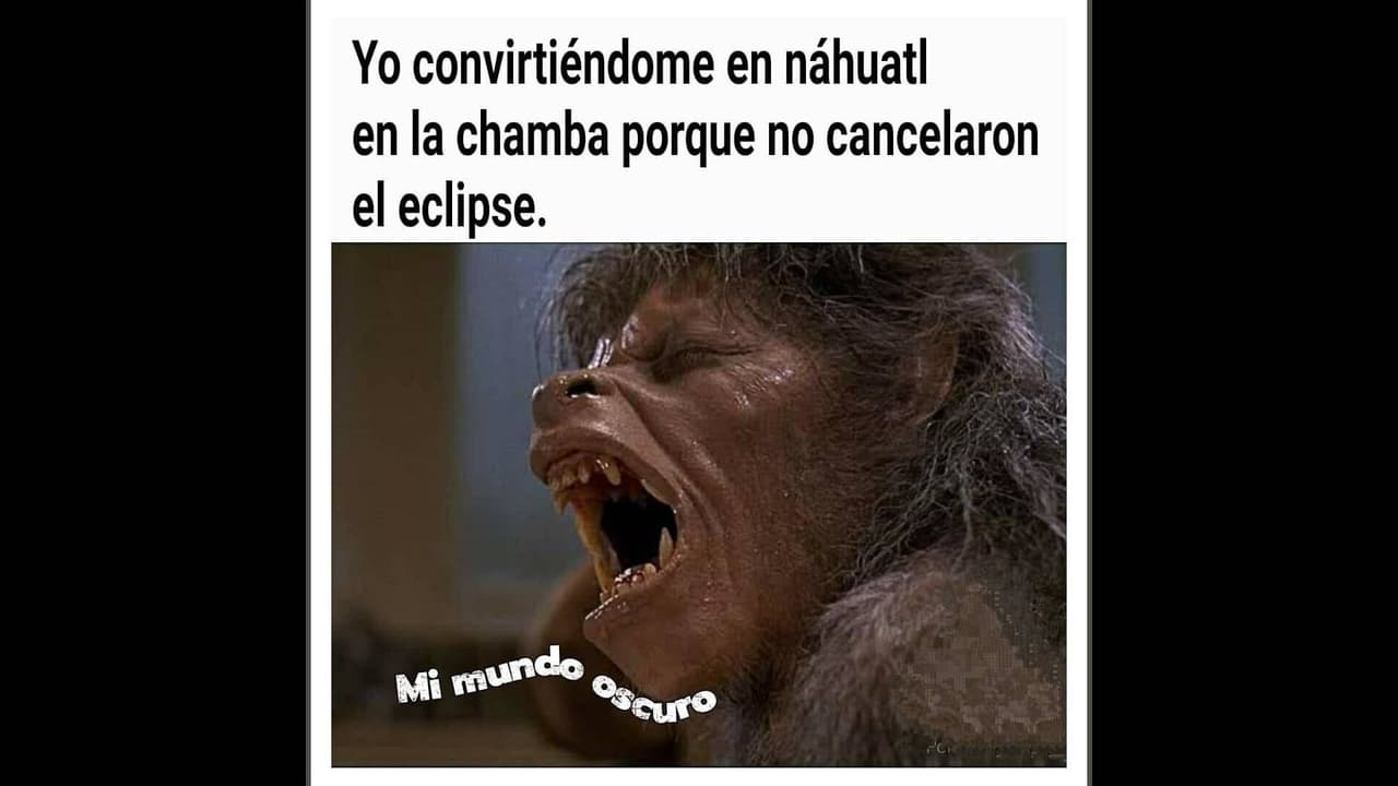 Los mejores memes del Eclipse Solar Total 2024