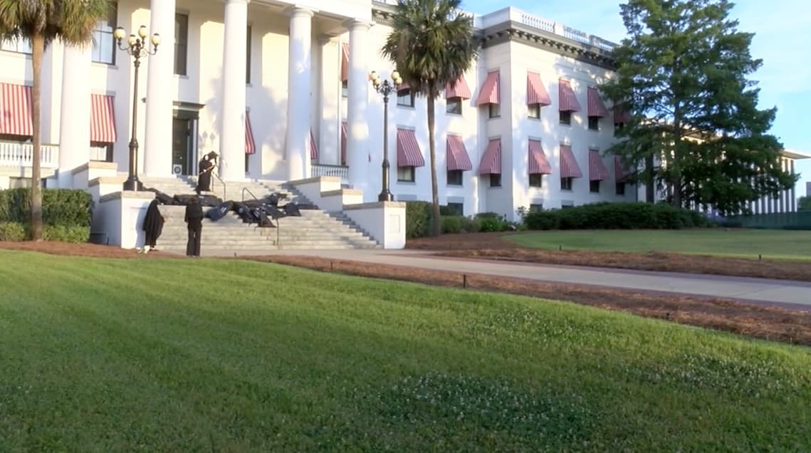 Se hacen llamar el "Movimiento Indivisible" y ya han estado también en la capital de Texas y de Arizona.