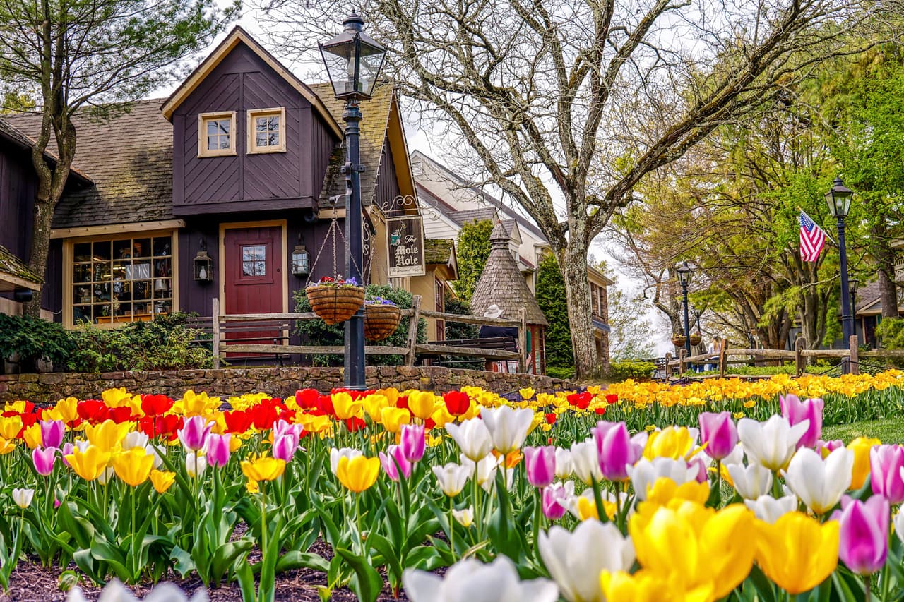 <b><a href="https://peddlersvillage.com/">Spring FunFest at Peddler’s Village en Lahaska (22 y 23 de abril)</a></b>. Disfruta de un fin de semana de diversión familiar primaveral en Peddler's Village, con ventas en las aceras, entretenimiento en vivo y mucha comida y bebida.
<br>
<br>
<b><a href="https://goo.gl/maps/VcB8pxfn14MDzw428">Cómo llegar</a></b>