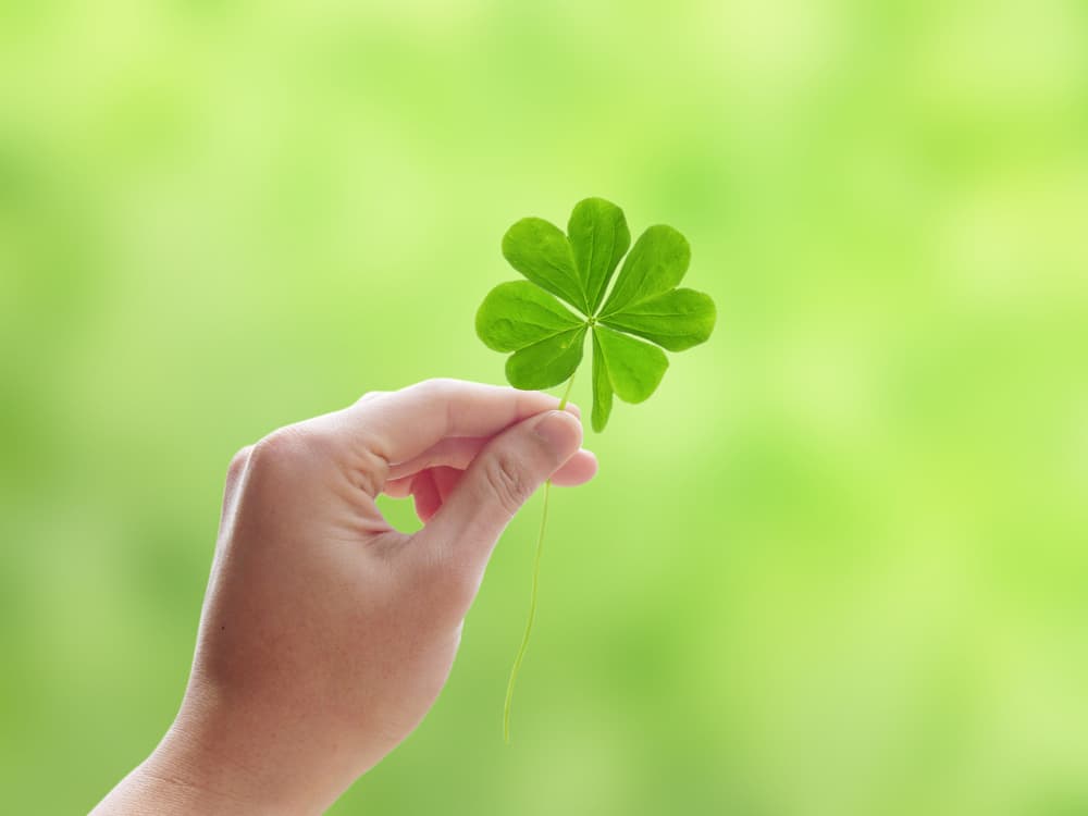 <h3 class="cms-H3-H3">Amuletos </h3>
<br>
<br>Se cree que no hay nada más efectivo contra la mala suerte que un amuleto. Los expertos en el mundo esotérico aseguran que no hay amuleto más efectivo que los que provienen de la madre naturaleza, el más famoso es el trébol de cuatro hojas. Si no puedes conseguir uno, puedes crear un amuleto propio con materiales naturales. 
<br>