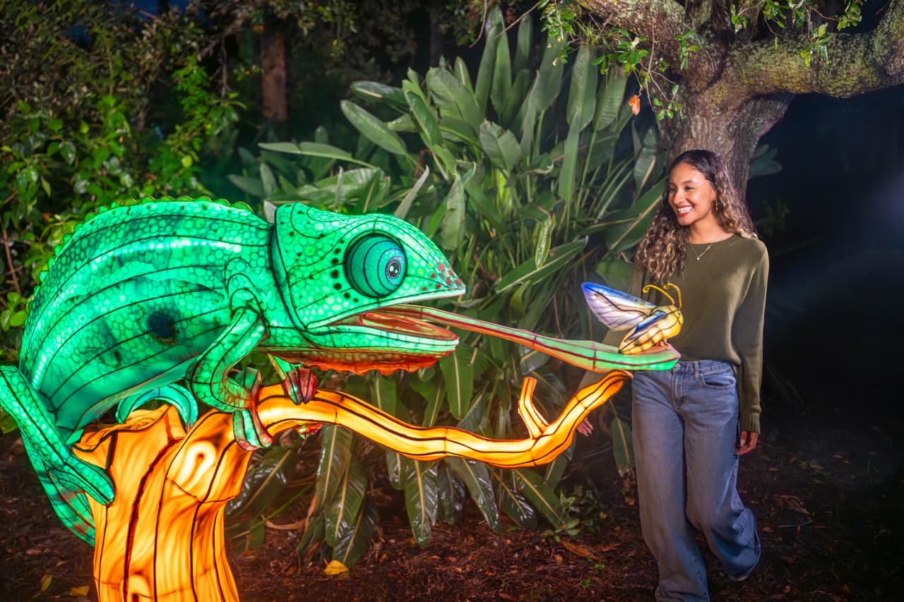 Aquatica se llena de luz: llega el festival nocturno que encantará a Orlando