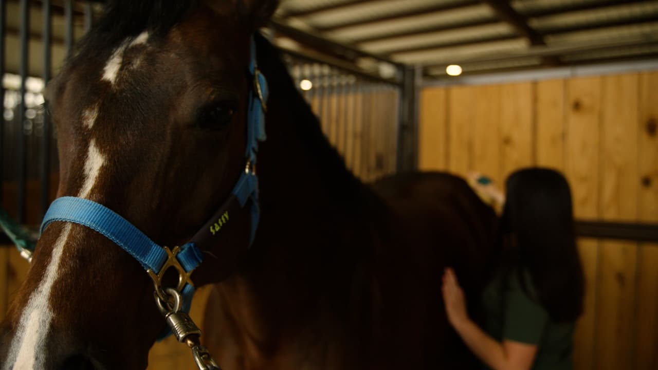 La equinoterapia construye un puente entre la conexión emocional y la sanación física.