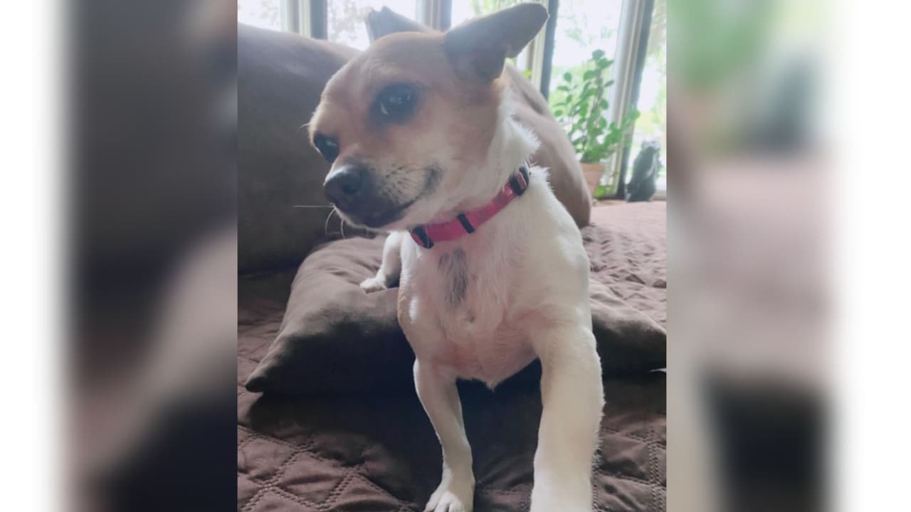 "Su nombre es Gia y en esta foto me ofrece su manita", indicó su familiar, Ana García.