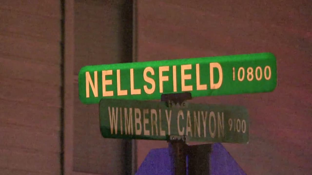 Los hechos ocurrieron el sábado 20 de noviembre, alrededor de las 2:25 am, en la cuadra 
<b><a href="https://www.google.com/maps/place/10800+Shannon+Mills+Ln,+Houston,+TX+77075/@29.6088178,-95.3973381,11z/data=!4m5!3m4!1s0x8640973b3eb18c2b:0xb7207b5b09fec91c!8m2!3d29.6088178!4d-95.2572624" target="_blank">10800 de Nellsfield Lane</a></b>.