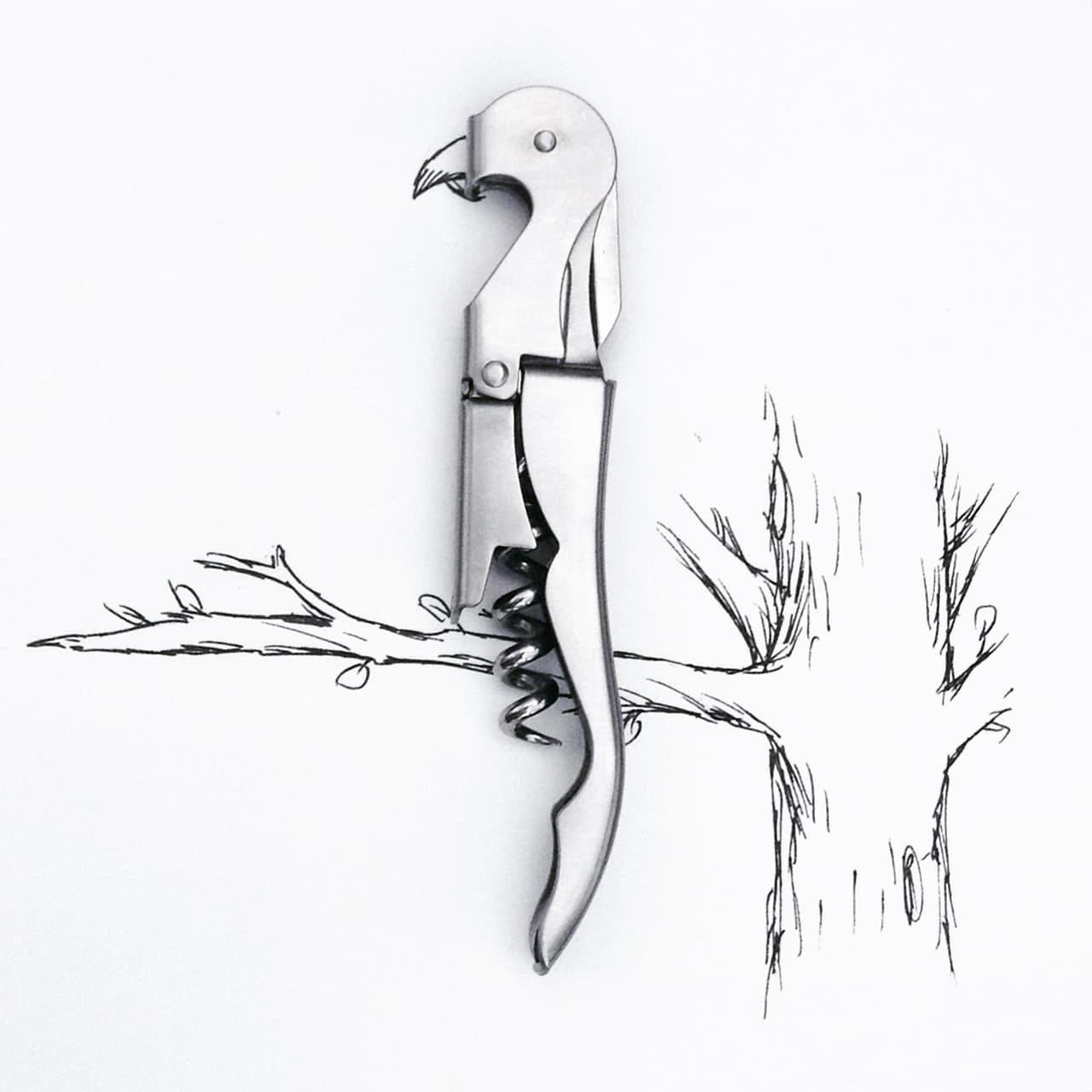 Todos quisiéramos tener un ave que también pudiera abrir nuestras sodas.