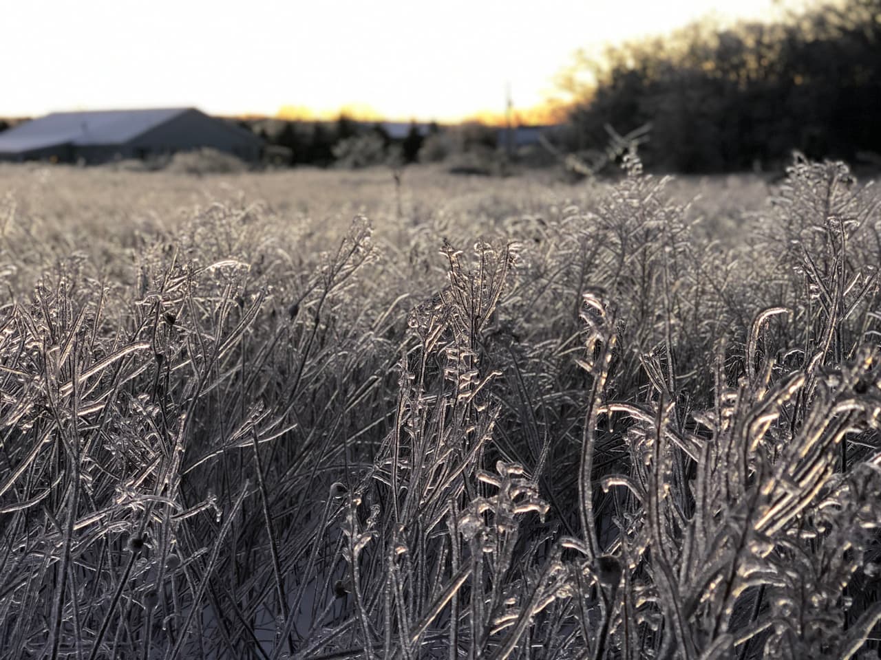 La diversidad del paisaje es perfecto para apreciar los cambios de las temporadas.