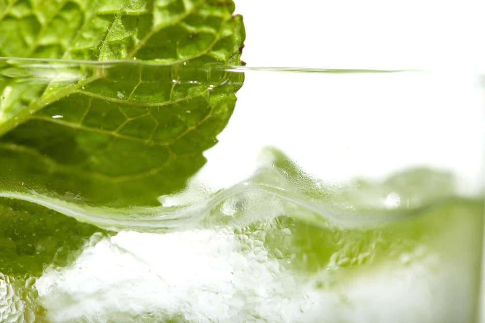 <b>Los aromas</b>
<br>Si añades hojas de albahaca, menta y orégano al agua con la que vas a limpiar la casa y un chorrito de colonia o extracto de violetas suaves estás creando un ambiente fresco y propicio mucho más natural que el que se usa con productos químicos los cuales, muchas veces, causan reacciones alérgicas.