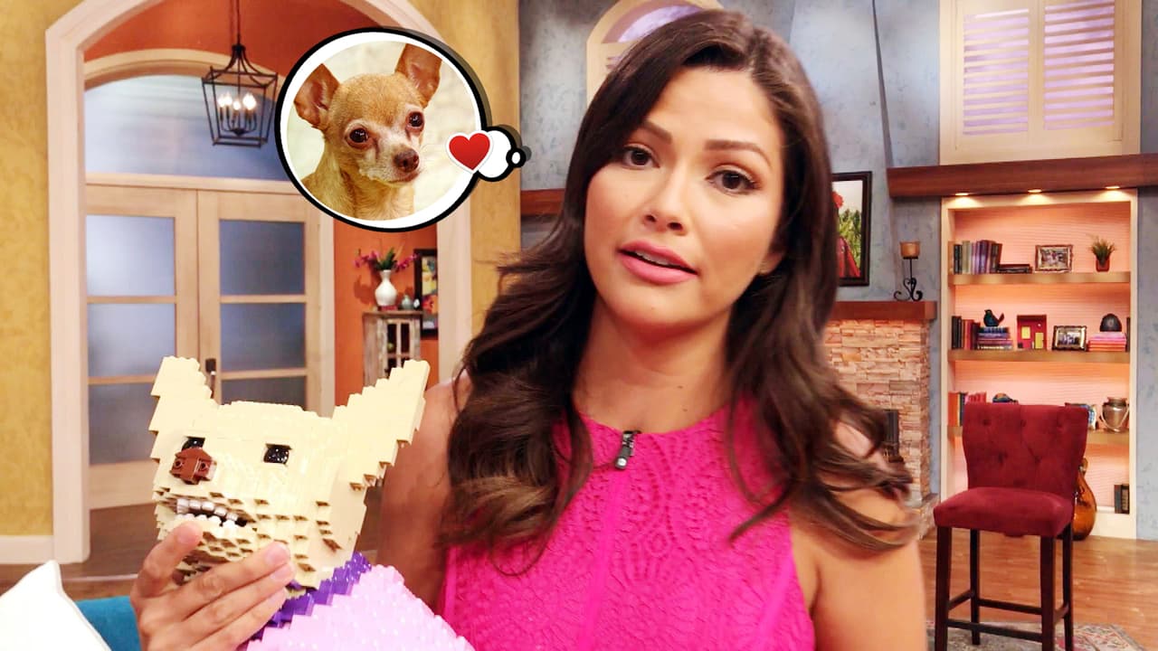 Detrás de cámaras: Ana Patricia nos contó de la operación de emergencia de su perrita Honey