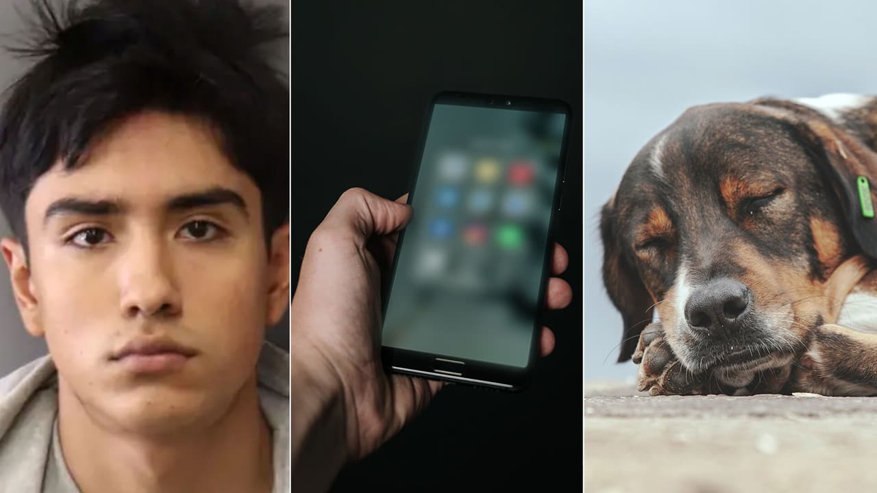 Le corta la garganta a un perro y después comparte el video en redes sociales