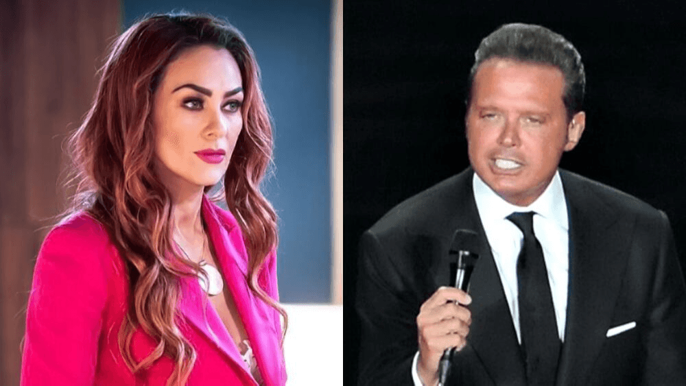 Aracely Arámbula explota como nunca contra Luis Miguel por no ver a sus hijos: "Me cae muy mal"