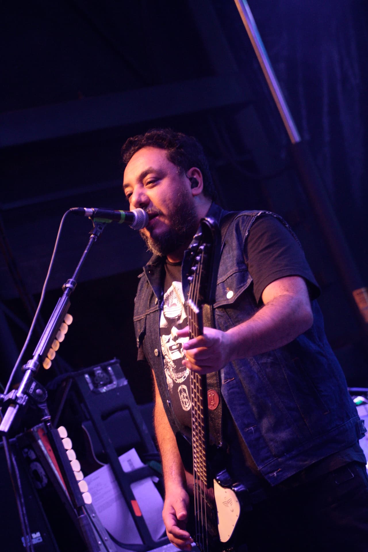 Café Tacuba, Molotov y otras conocidas y nuevas bandas se presentaron el fin de semana en Chicago.