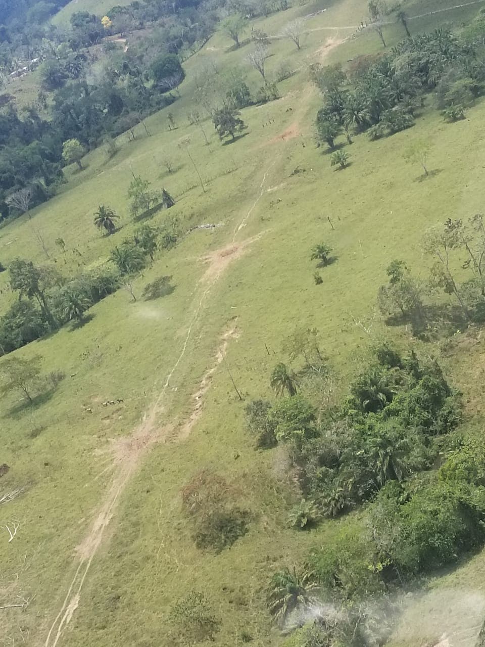 Una area clandestina de aterrizaje conocida como 'narco pista' en el departamento de Gracias a Dios, en el este de Honduras.