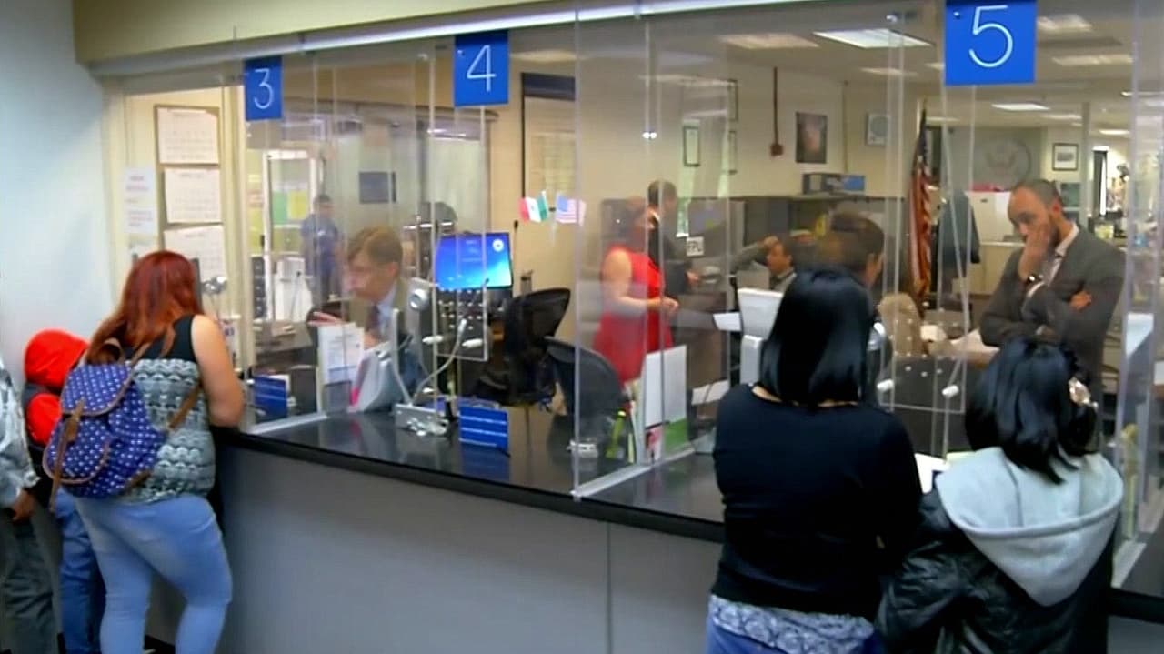Pruebas de ADN en trámites migratorios: ¿Qué cambia con la nueva política de USCIS?