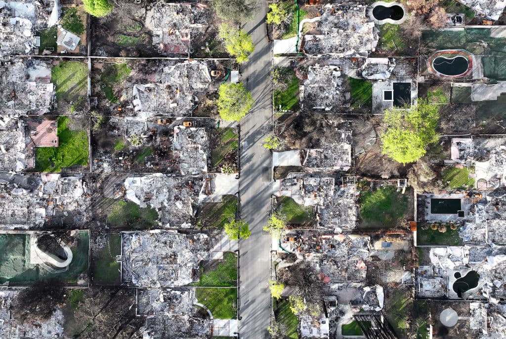 Las casas desaparecieron, pero los árboles de muchas de ellas sobrevieron y hoy día visten de color la comunidad.