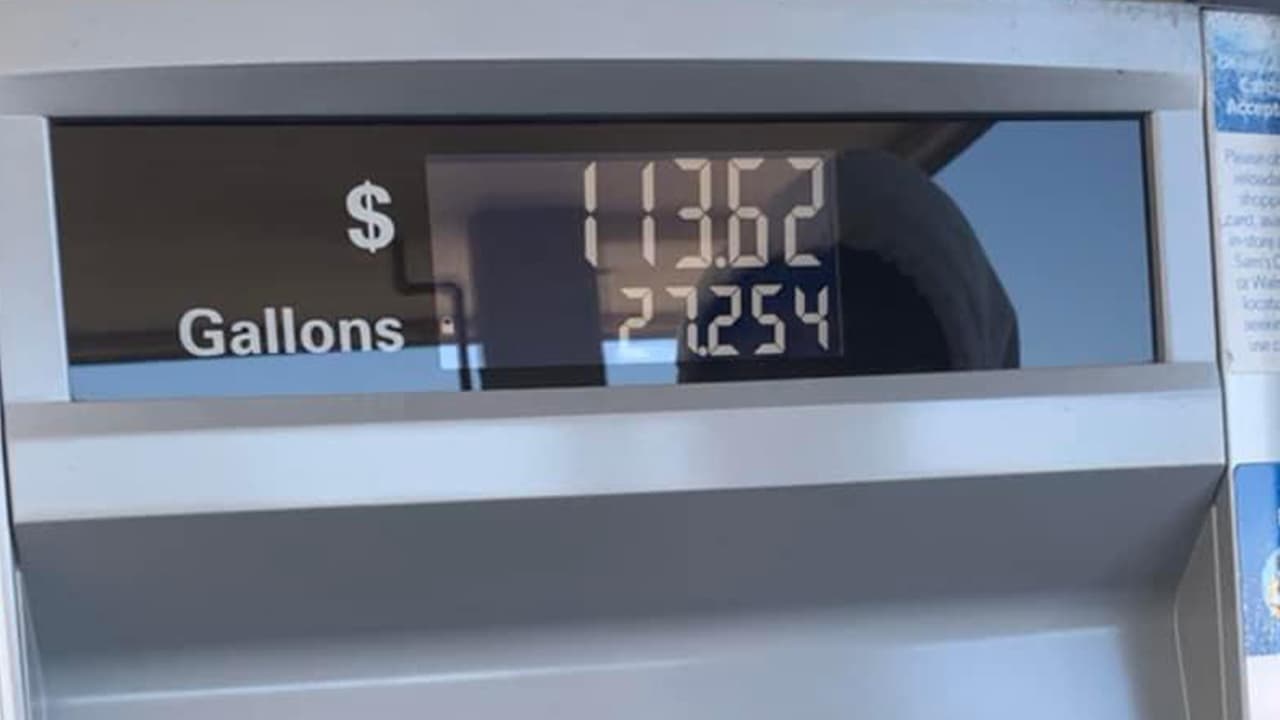 Esto pagó Dulcess Palacios.