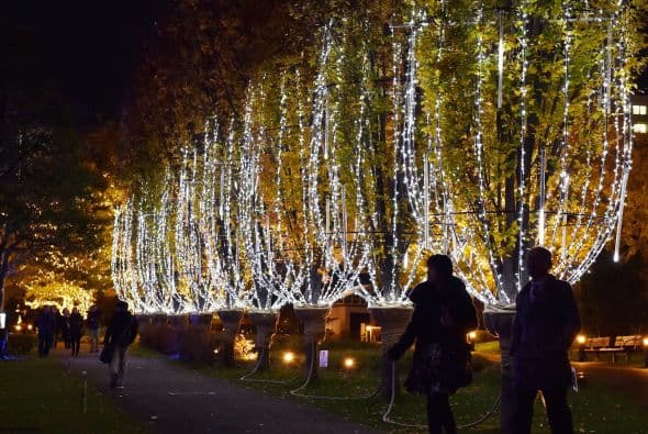 Seguro Tokio atraerá muchos turistas con este ambiente que emana ternura y amor. Muchos querrán despedir aquí el 2014.