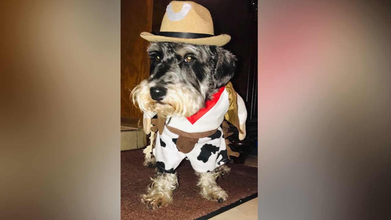 Carmen Hernandez - "Mi hermoso Max’s".