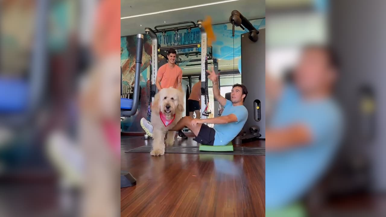 Perro de 'Checo' Pérez roba reflectores en rutina de ejercicios 