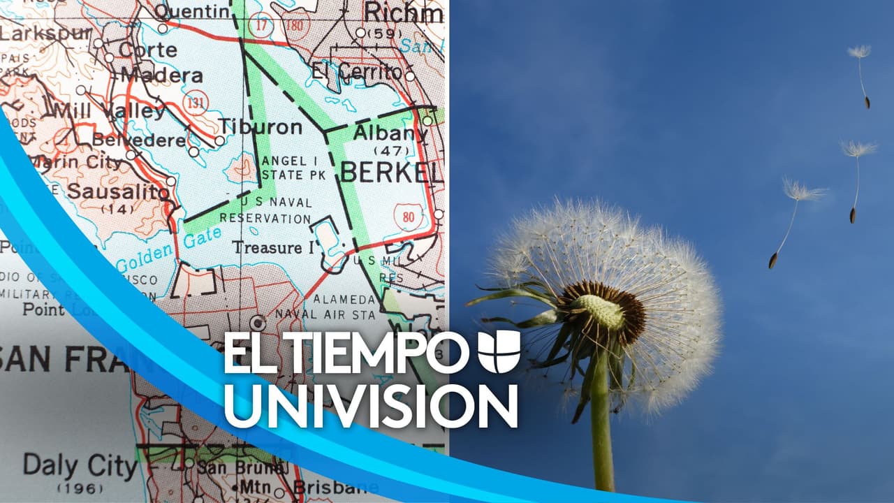 Descenso abrupto de temperaturas y condiciones ventosas en el Área de la Bahía