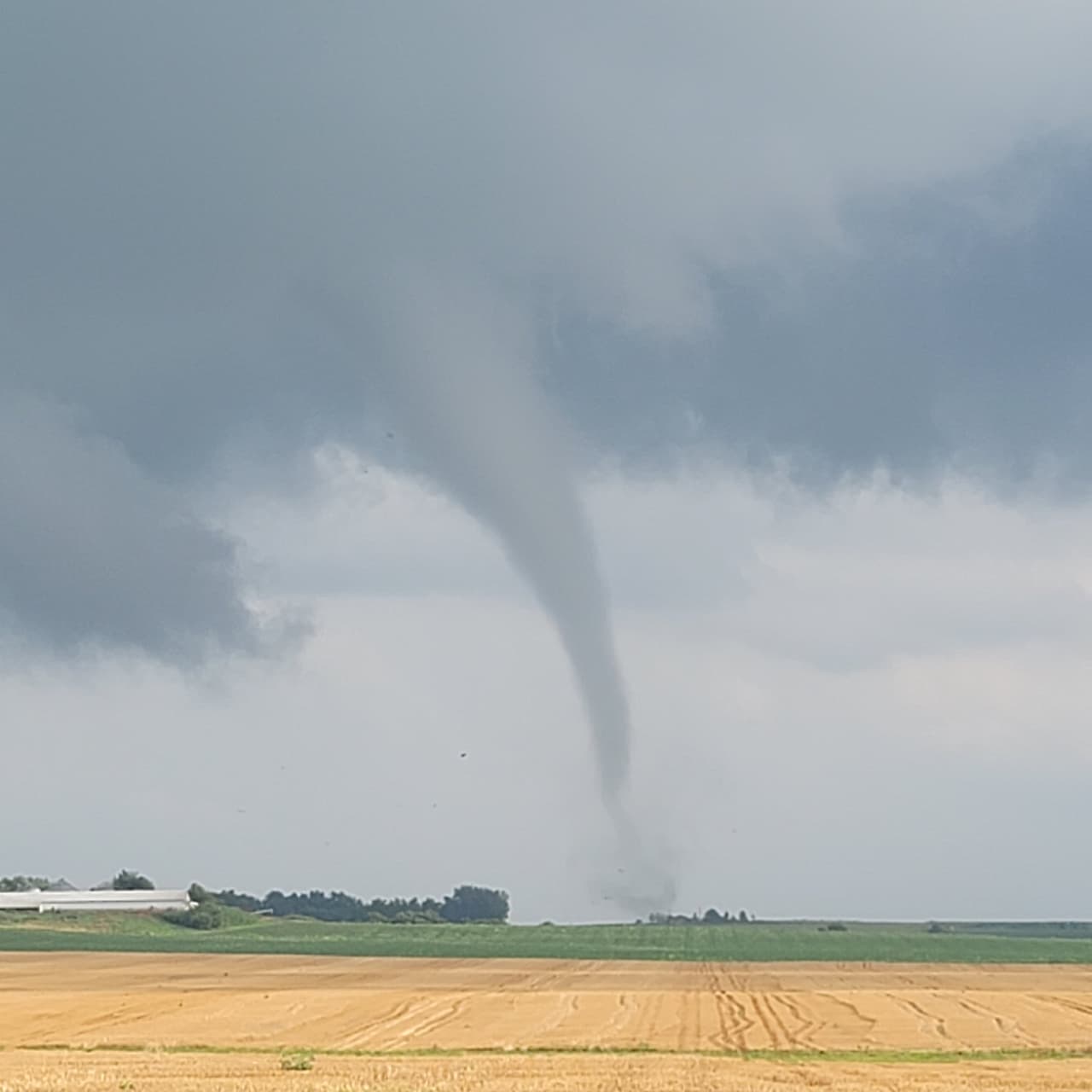 Línea de tormentas desata su furia causando tornados sobre áreas de Chicago mientras el martes se espera otra ronda de tormentas y calor intenso
