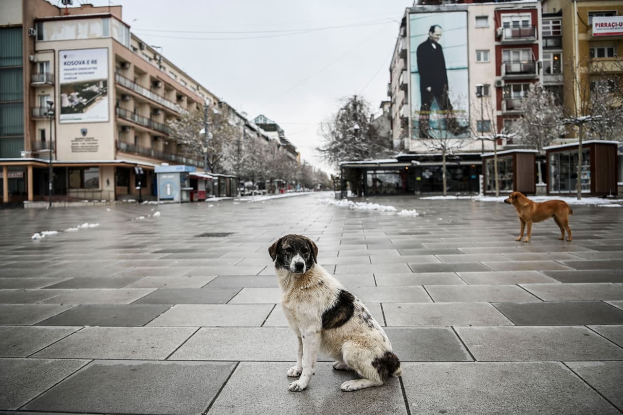 Una plaza desierta en de Pristina, Kosovo, ahora ocupada por los perros callejeros. En esa ciudad las autoridades impusieron un toque de queda que mantiene a las personas en sus casas desde las 5:00 PM hasta las 5:00 AM.
