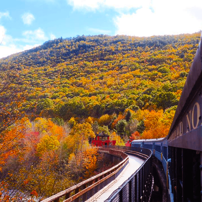 El ferrocarril panorámico de Lehigh Gorge, la estación de tren Old Mauch Chunk y la ópera Mauch Chunk también ofrecen entretenimiento de importancia histórica.