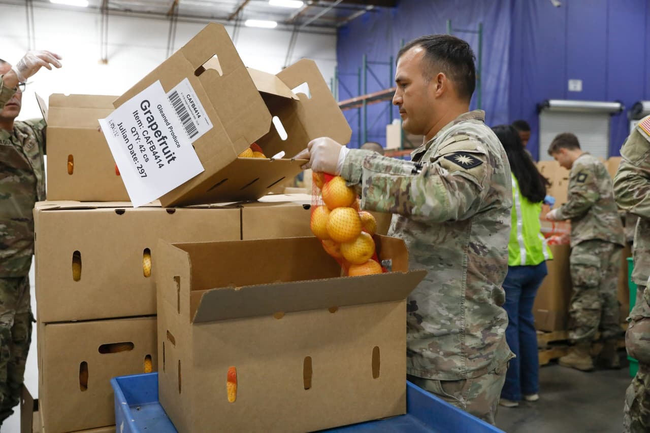 La Guardia Nacional de California desplegó el viernes 24 de octubre aproximadamente 30 efectivos en el Banco de Alimentos Regional de Los Ángeles (LARFC) para clasificar y empaquetar miles de libras de productos frescos, en respuesta al cierre prolongado del gobierno federal que amenaza con interrumpir los beneficios de asistencia alimentaria para millones de californianos.