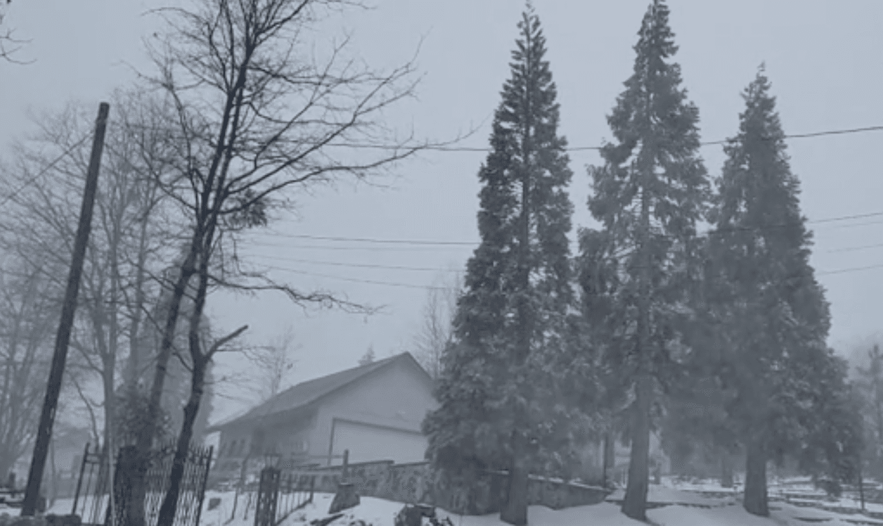Las autoridades te recuerdan que todos debemos cuidar nuestras montañas, por lo que recoger tu basura y llevarla contigo es la mejor contribución a la madre naturaleza.