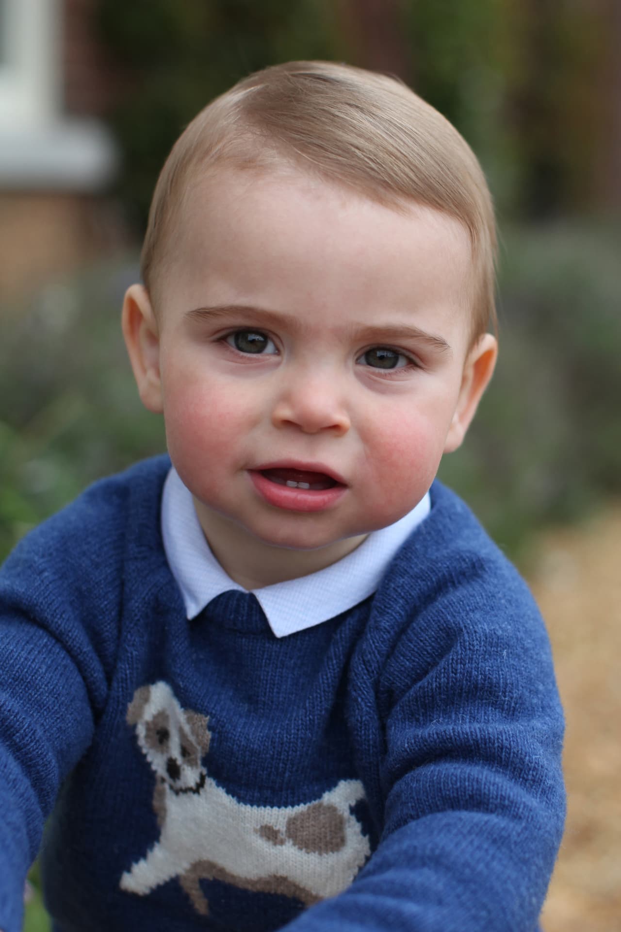 El 23 de abril pasado fue el primer cumpleaños del más pequeño de los Cambridge. Por eso también se liberaron 
<b><a href="https://www.univision.com/famosos/las-ultimas-fotos-del-principe-louis-por-que-kate-middleton-muestra-tan-poco-a-su-hijo-pequeno-fotos" target="_blank">unas fotos tomadas por su mamá</a></b> para la celebración. Fotos que (por cierto) fueron filtradas en redes sociales antes de su publicación oficial.