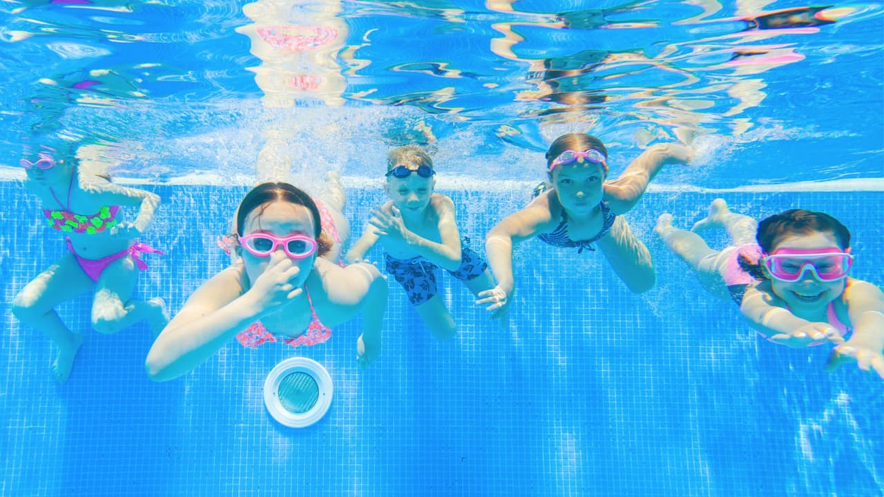 <h3 class="cms-H3-H3"></h3>
<h3 class="cms-H3-H3"><a href="https://www.plano.gov/1465/Oak-Point-Recreation-Center" target="_blank">Oak Point</a></h3>: olas, chapoteadero y seguridad 
<br>Tiene
<b> piscina con olas reales, juegos elevados, chapoteadero, áreas con sombra y protocolos especiales</b>: los niños pequeños deben usar chaleco salvavidas (gratis en el lugar). 
<br>📍 
<a href="https://g.co/kgs/SgeAGbH" target="_blank">6000 Jupiter Road</a>
<br>📞 972-941-7540 
<br>
<b>Tot Splash Time: </b>🗓️ Lunes, miércoles y viernes, del 28 de mayo al 1 de agosto, de 10 a.m. a 12 p.m. 
<br>
<b>Días sensoriales:</b> 🗓️ 22 de junio, 20 de julio y 10 de agosto, de 10 a.m. a 12 p.m.