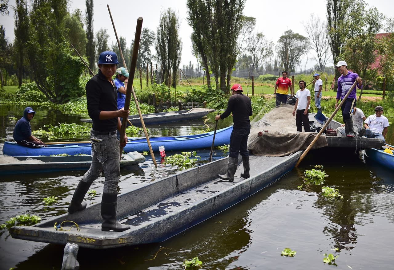 Por estarazón, autoridades de Xochimilco indicaron que hasta el momento hay aproximadamente 100 prestadores de servicios turísticos afectados.