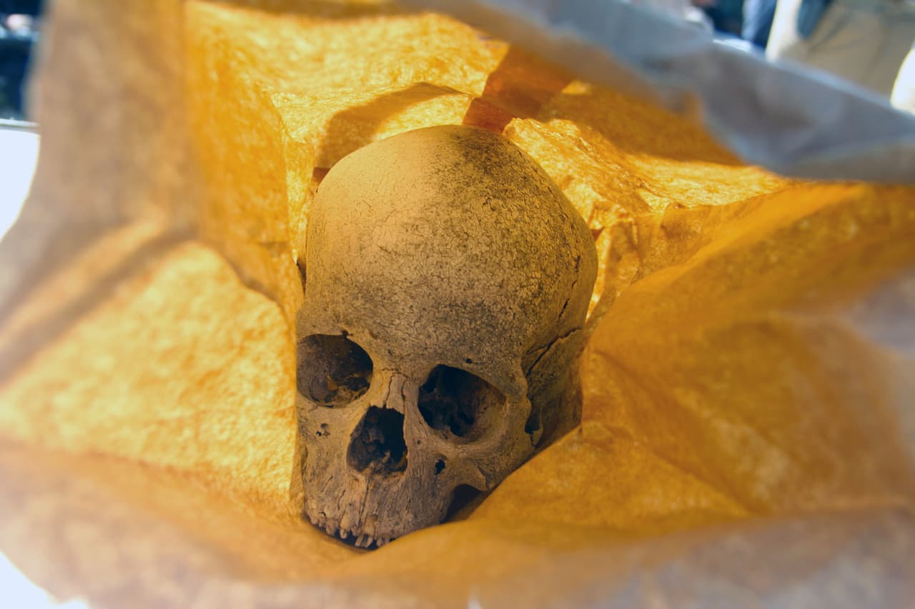 Usuario de TikTok desata polémica por vender huesos humanos