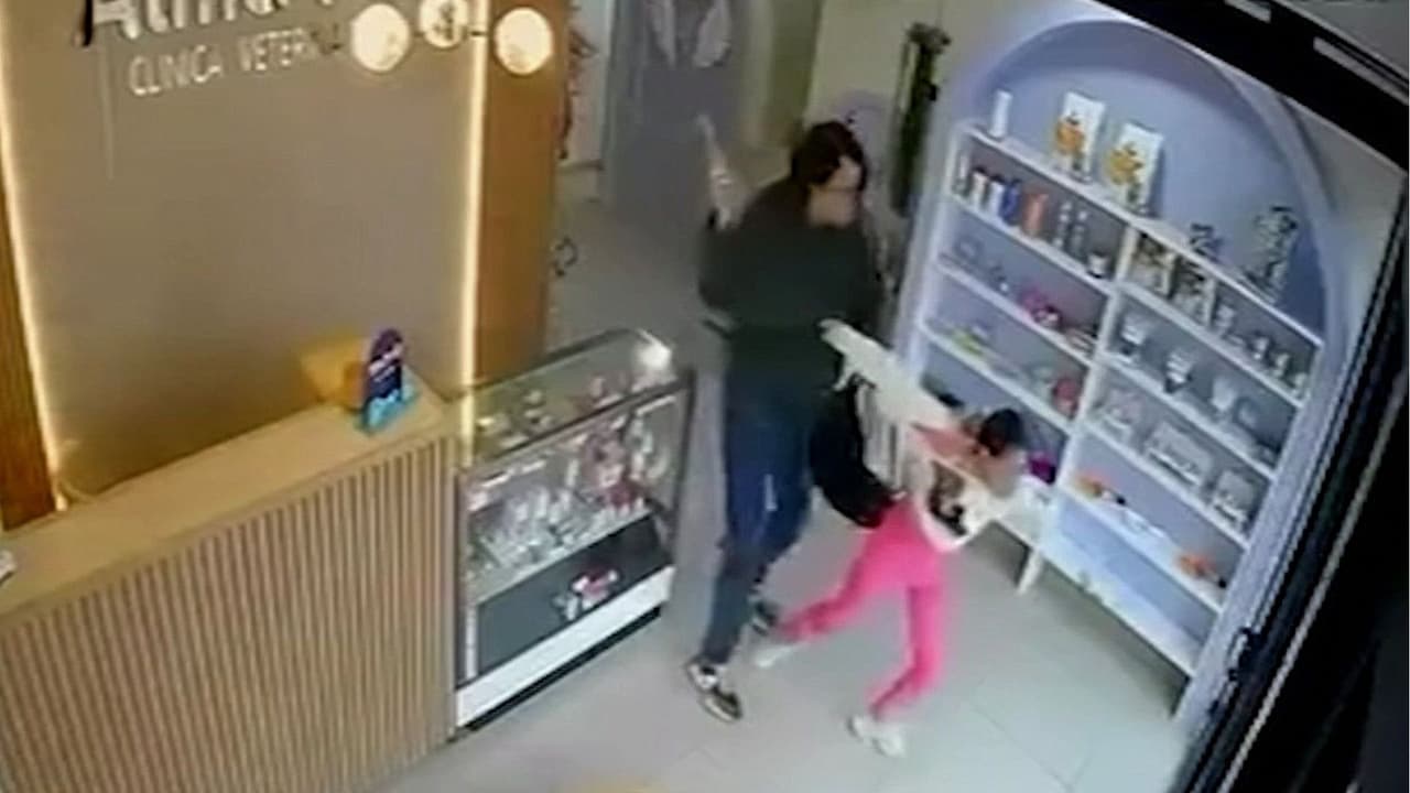Una veterinaria es atacada a martillazos por una supuesta venganza; logró escapar de su agresor en Costa Rica